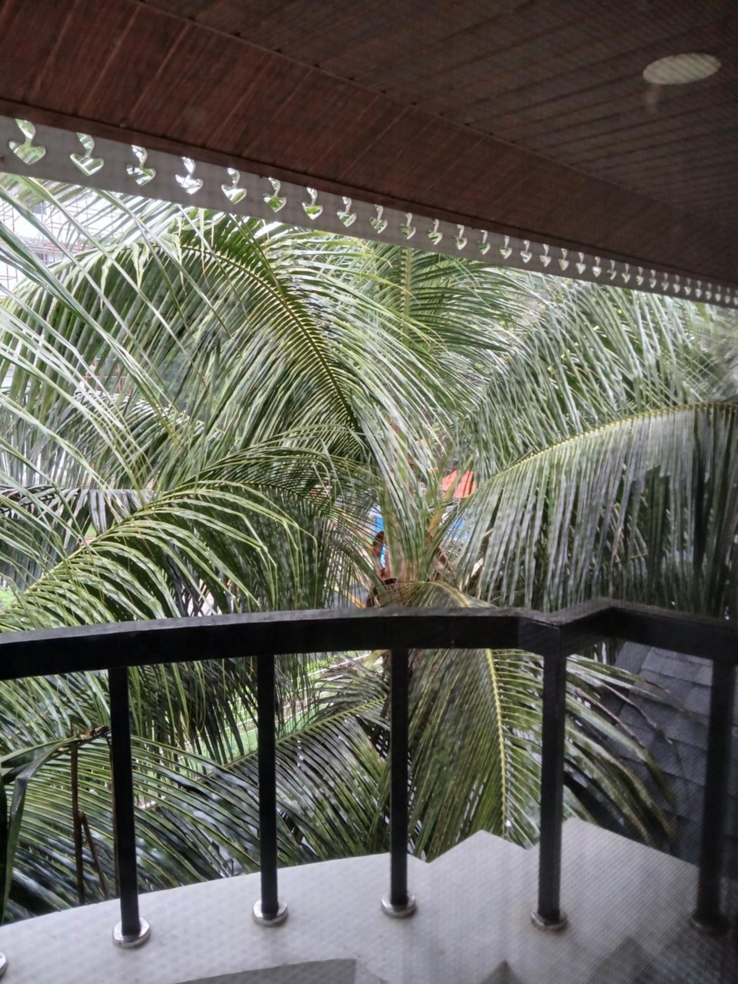 Kochi Annies Inn Homestay المظهر الخارجي الصورة