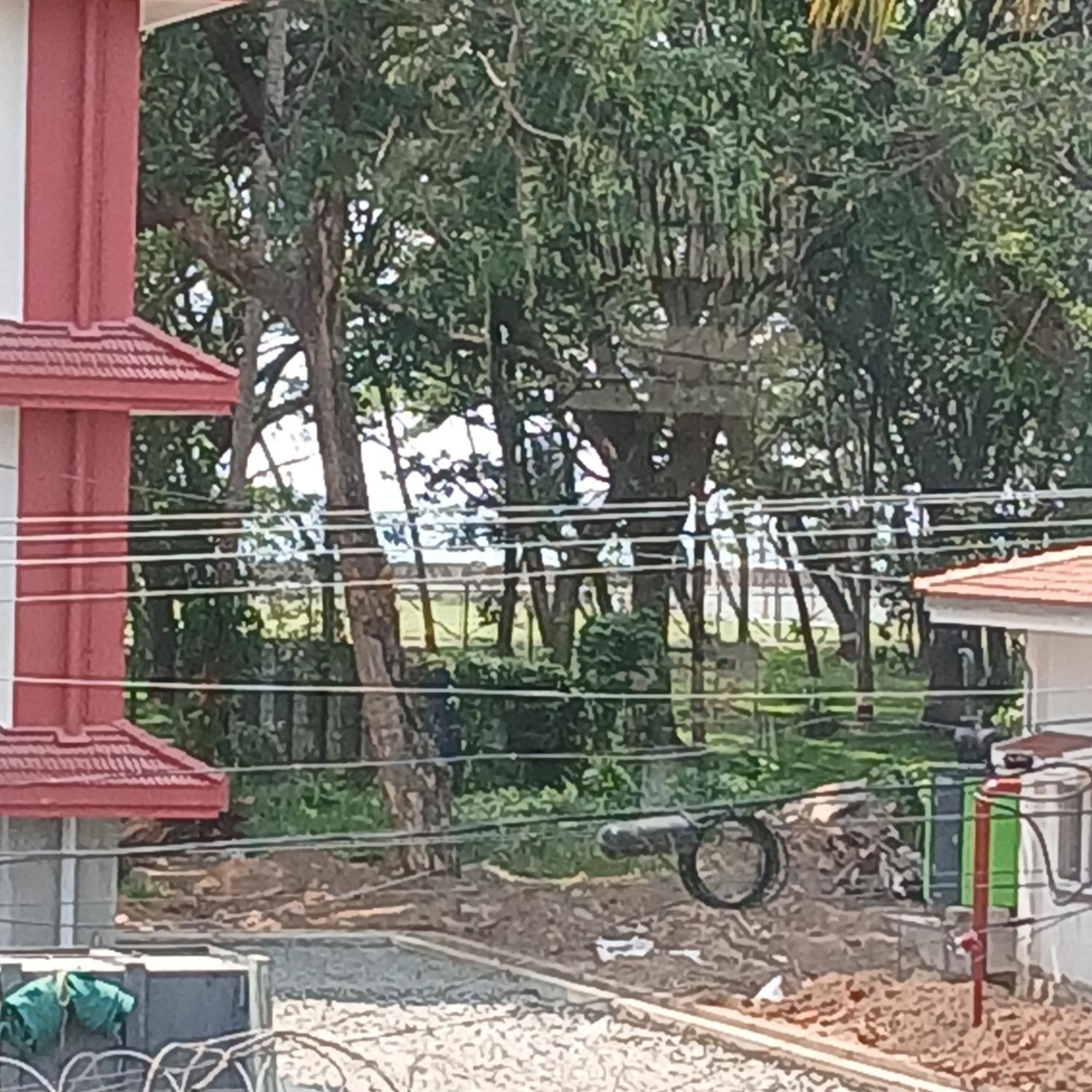 Kochi Annies Inn Homestay المظهر الخارجي الصورة
